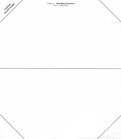 (image for) BOT-3 Folding Paper Item Response Page Pad of 25